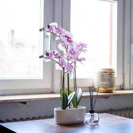Honeybee Koblenz Apartment *