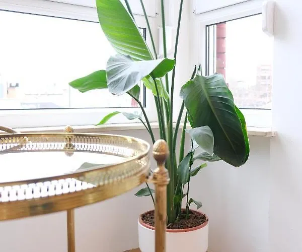 Honeybee Apartment Koblenz (Rhineland-Palatinate)