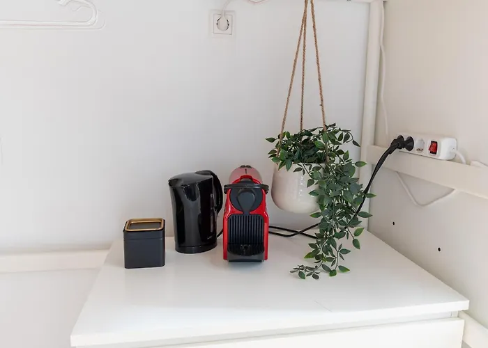 Honeybee * Koblenz (Rhineland-Palatinate)