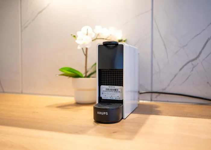 Honeybee Koblenz (Rhineland-Palatinate)