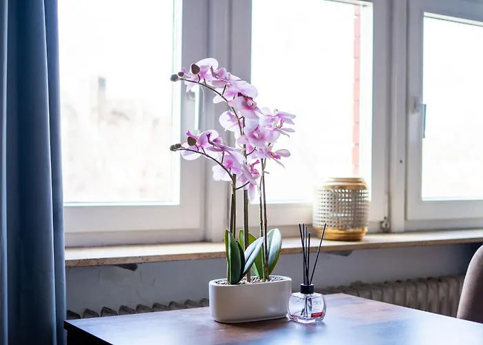 Honeybee Apartamento Coblenza